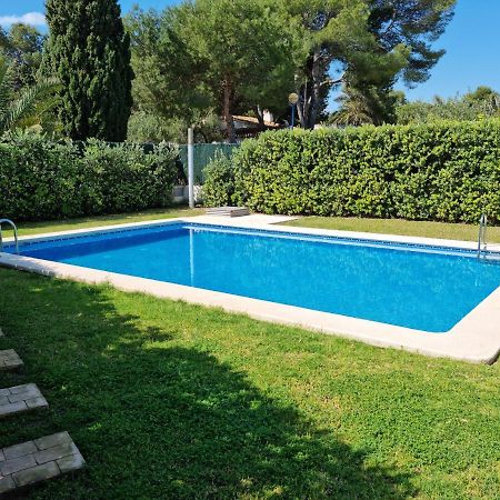 Solmar Lägenhet Torrevieja Exteriör bild